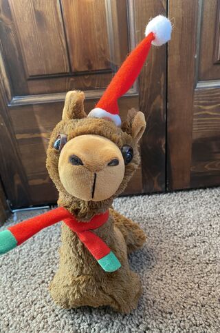 Photo of Timmy the Stuffed Alpaca