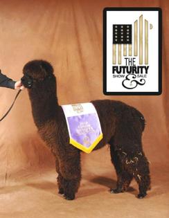 The Futurity 2010