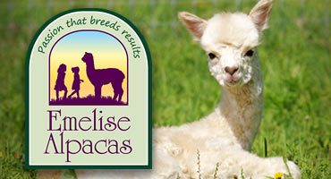 Emelise Alpacas