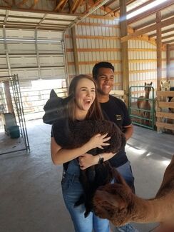 Photo of $10 Farm Tours Call for Appointment 