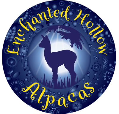 Enchanted Hollow Boutique