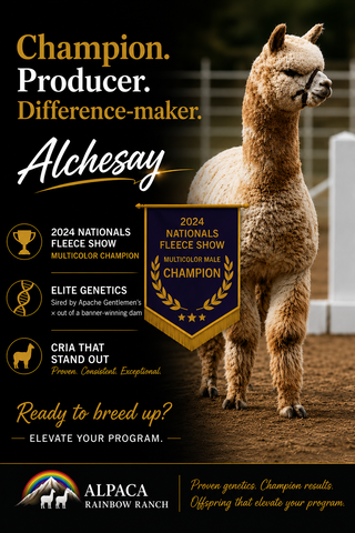 Photo of Apache Gentlemen's Alchesay