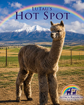 Photo of LuTau's Hot Spot