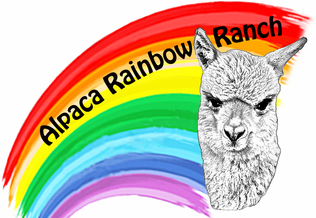 Alpaca Rainbow Ranch