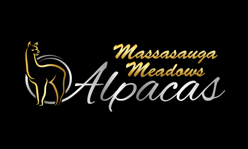 Massasauga Meadows Alpacas