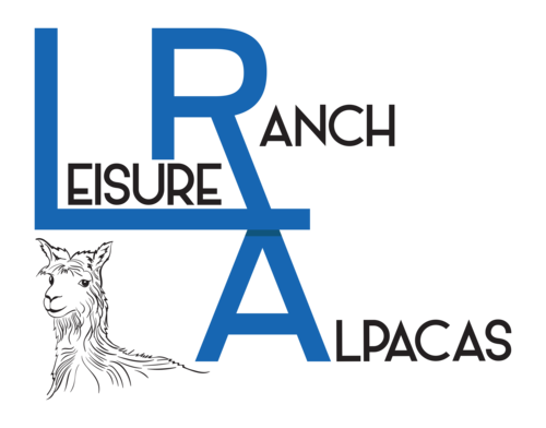 Leisure Ranch Alpacas