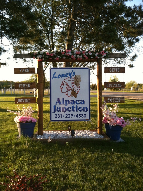 Loney's Alpaca Junction