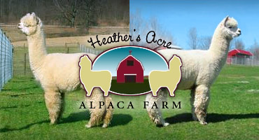 Heather's Acre Alpaca Farm