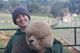 alpaca for sale