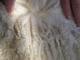 alpaca for sale