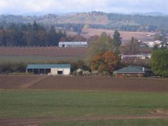 The Farm