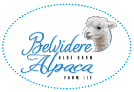 Belvidere Blue Barn Alpaca Farm, LLC