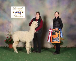 Photo of WRAA Ladylove by Double Barrel