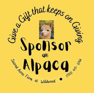 Photo of 1, SILVER - Sponsor an Alpaca