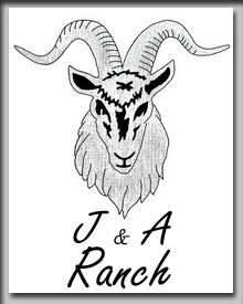 J & A  Ranch
