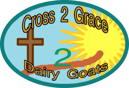 Cross2Grace Dairy Goats and GoatGoat Dairy Goats