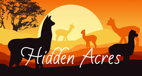 Alpacas of Hidden Acres