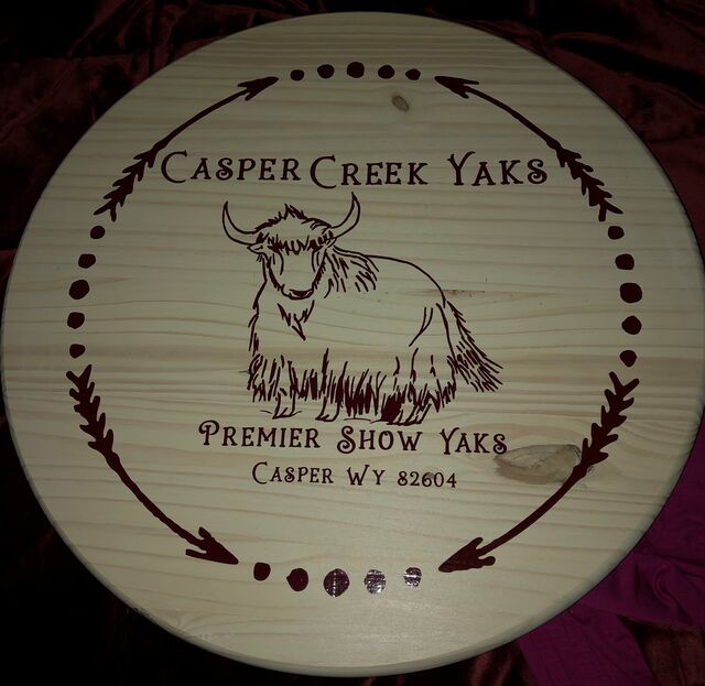 Casper Creek Yaks