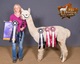 Paternal Sire-Springtoo Skyfall
