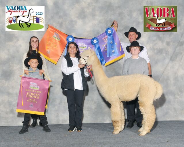 Triple Diamonds Alpaca Ranch & Supplies