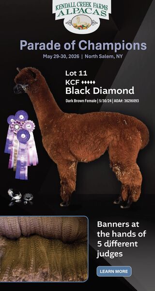 Photo of KCF Black Diamond