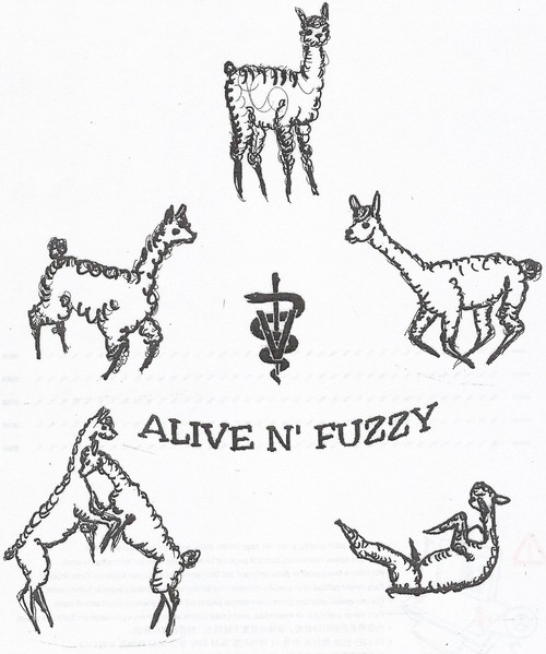 ALIVE N' FUZZY ALPACA FARM