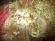 alpaca for sale