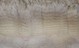 alpaca for sale