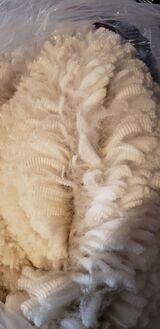 alpaca for sale