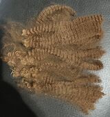 alpaca for sale