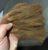 alpaca for sale