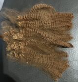 alpaca for sale