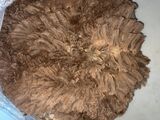 alpaca for sale
