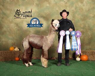 Photo of KCF SHAZAM