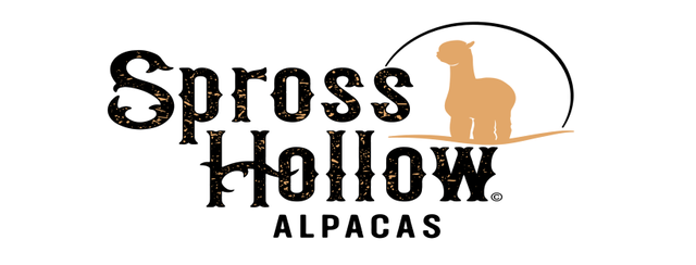 Spross Hollow Alpacas