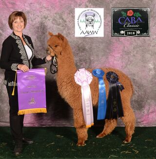 Photo of Crescent Moon's Sizzlin Shak